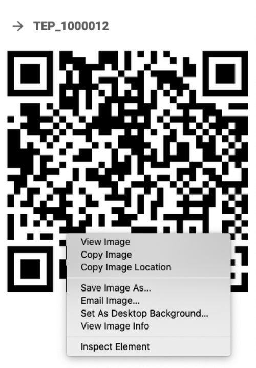 Boarding pass QR code Boarding pass QR code